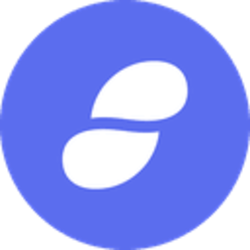 SNT logo
